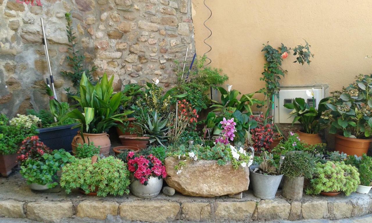 Estudios Casa Lola De Talarn ภายนอก รูปภาพ